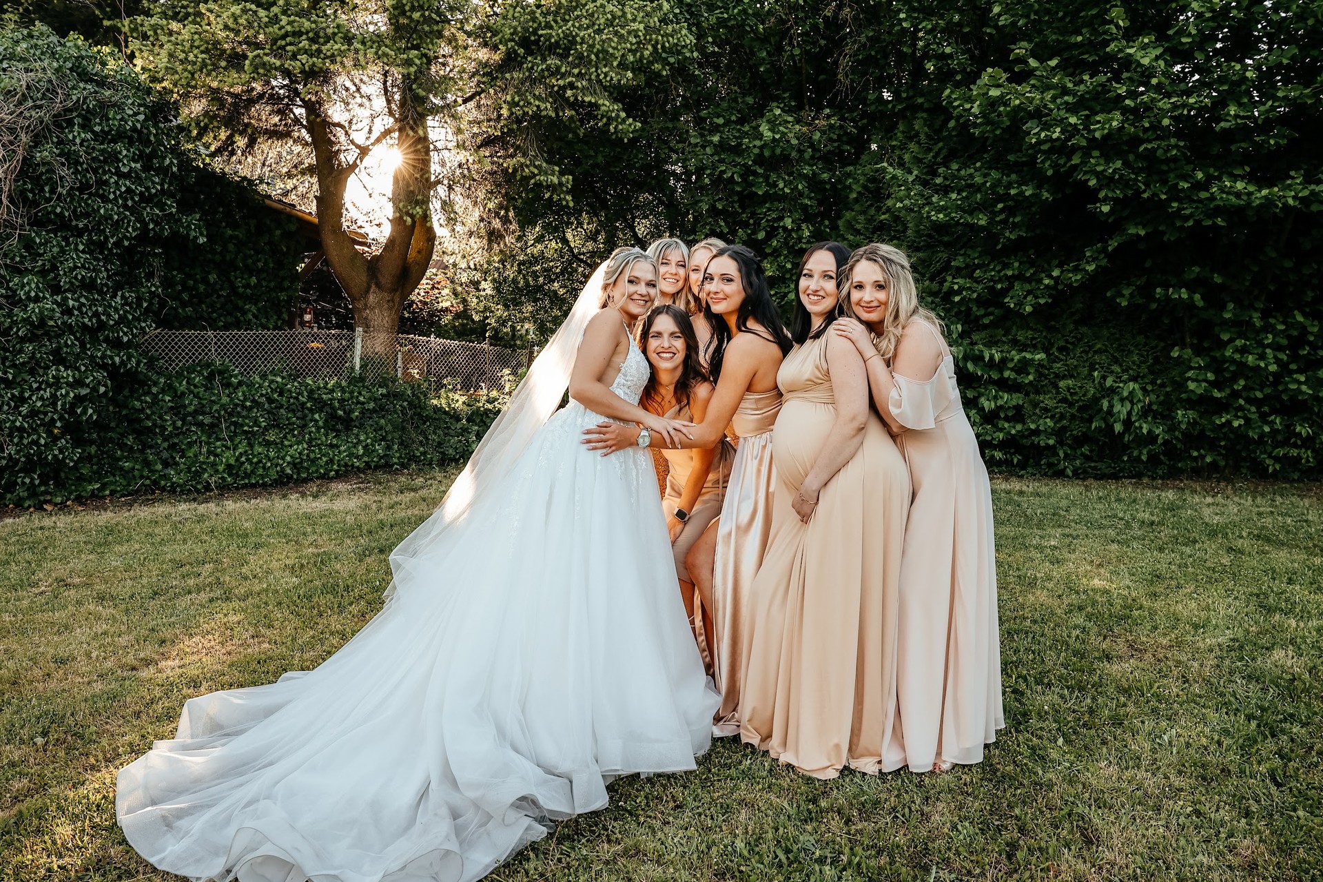 Golden Hour — photograph 13